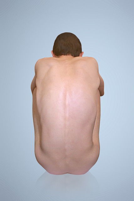 Mann, Zurück, Sitzung, Anatomie