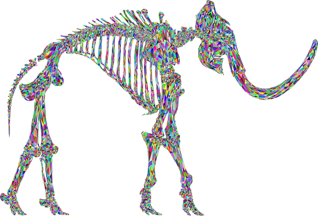 Wolliges Mammut, Tier, 3D, Skelett