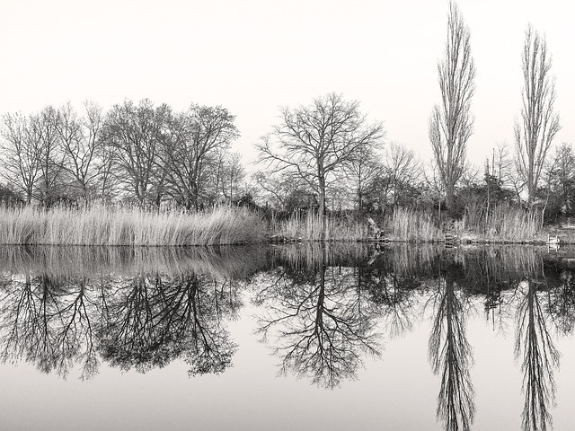 Free Lake Silence photo and picture