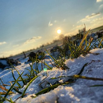 Free Winter Snow photo and picture