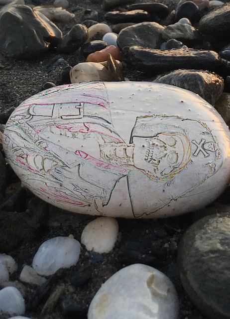 Free Pebble Beach photo and picture