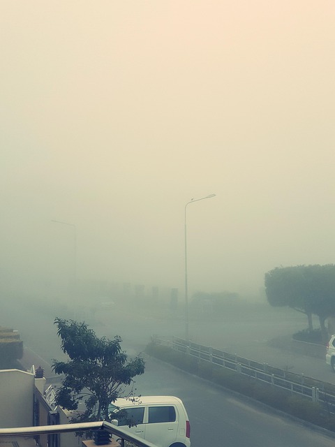 Free Fog Mist photo and picture
