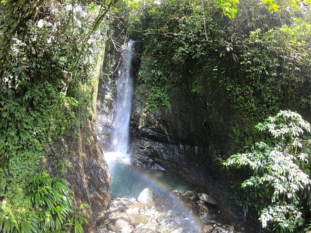 Free Water River photo and picture