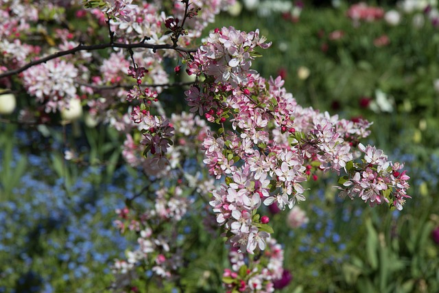 Udsmykning, Blomstre, Forår