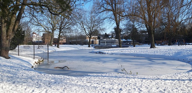 Free Snow Park photo and picture