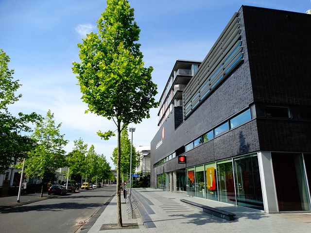 Free Library Hengelo photo and picture
