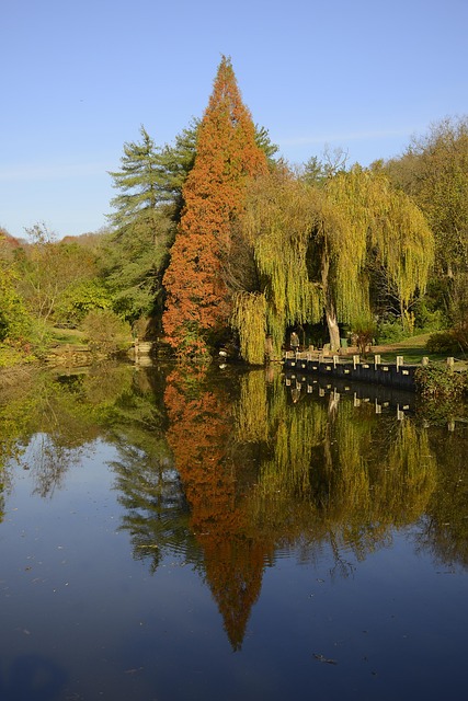Free Reflection Sun photo and picture