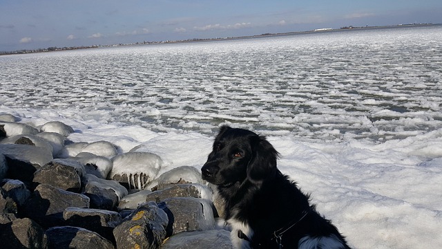 Free Frozen Marker Lake photo and picture