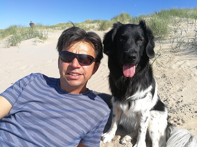 Free Dunes Schoorl photo and picture