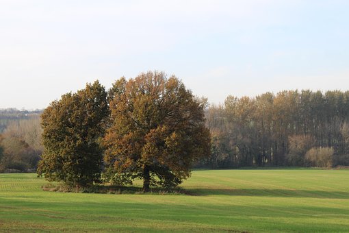 Valle, Campo, Árboles, Otoño, Naturaleza