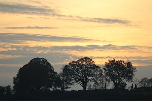 Árboles, Valle, Atardecer, Otoño