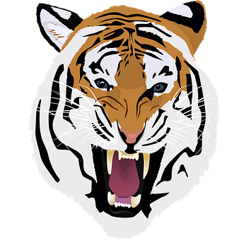 Free Tiger Animal illustration and picture