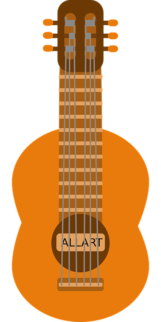 Free music instrument guitar vector