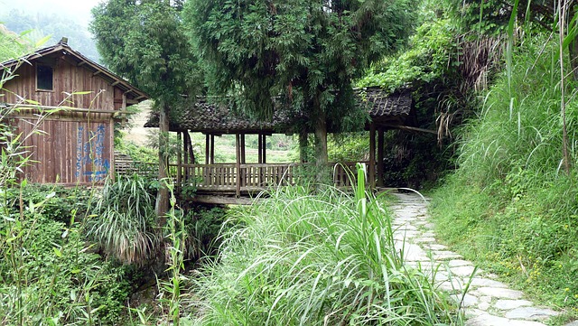 Free China Bridge photo and picture