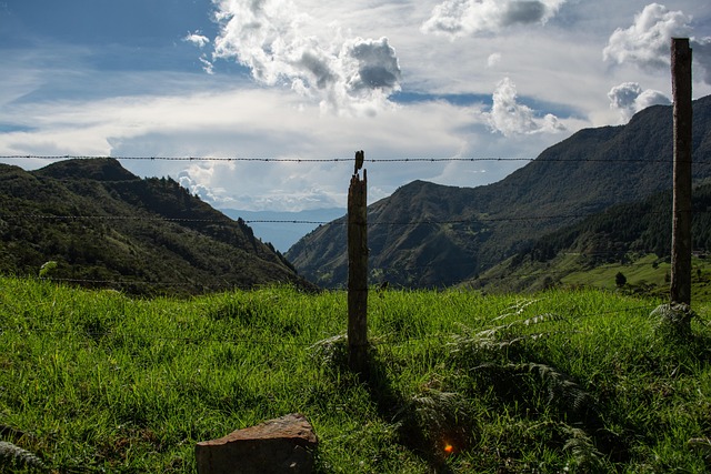 Free Landscape Nature photo and picture