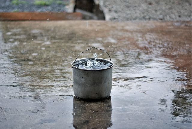 Free Rain Drop photo and picture