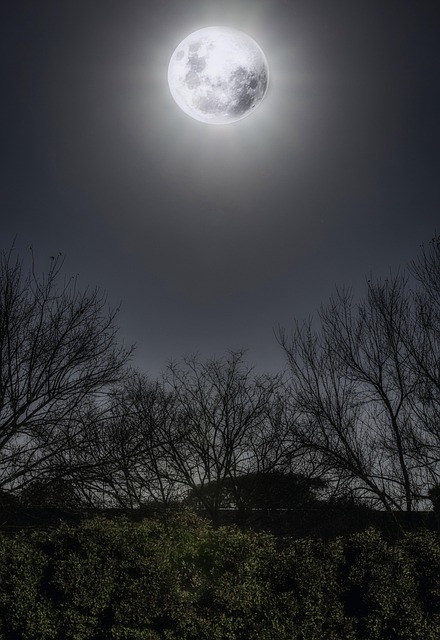 Free Moon Sky photo and picture