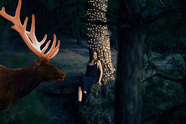 Free Forest Deer photo and picture