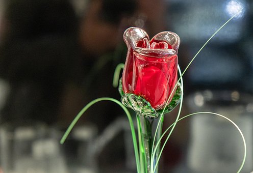 Free Rose Glass photo and picture