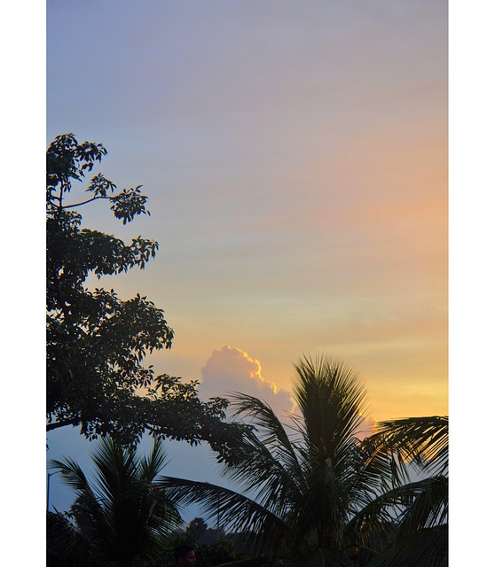 Free Nature Naturephoto photo and picture