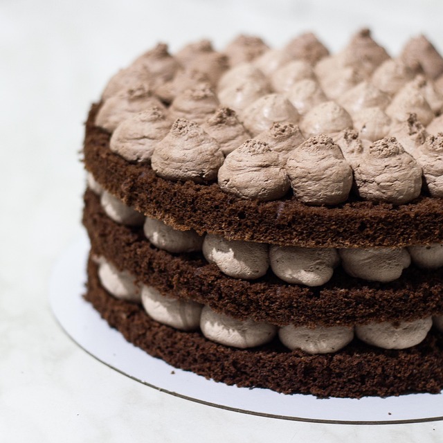 Free Cake Chocolate photo and picture