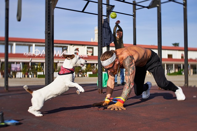 Atlet, Hund, Muskler, Tatovering