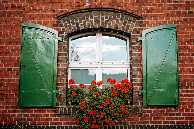 Free Window To The World photo and picture