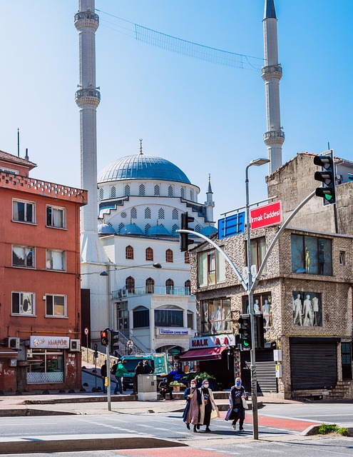 Free Istanbul Mosque photo and picture