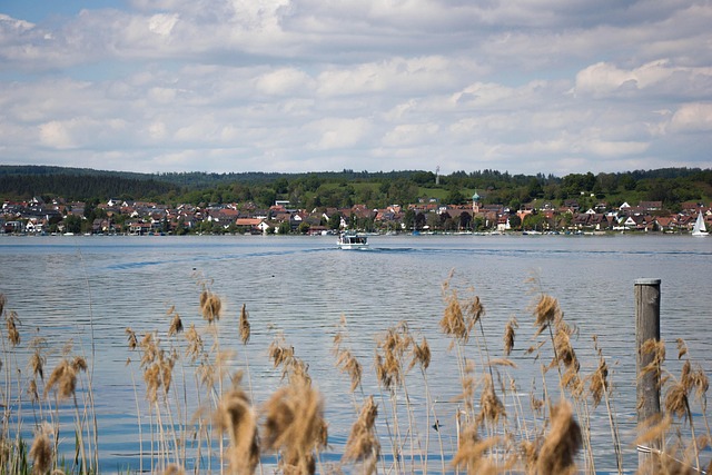 Free Lake Summer photo and picture