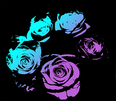 Free Roses Flowers vector and picture