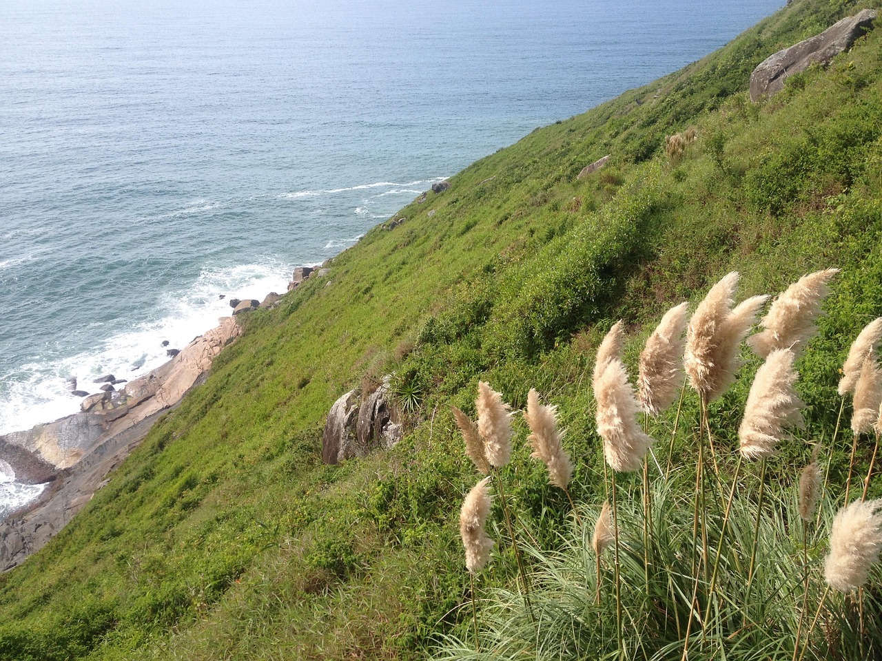 Mountain Plants Sea Free photo on Pixabay Pixabay
