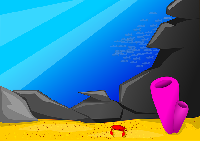 Free crab sand rocks vector
