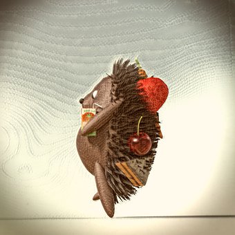 Porco Espinho, Frutas, Livro Infantil