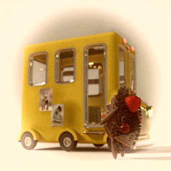 Ônibus Escolar, Porco Espinho, Frutas