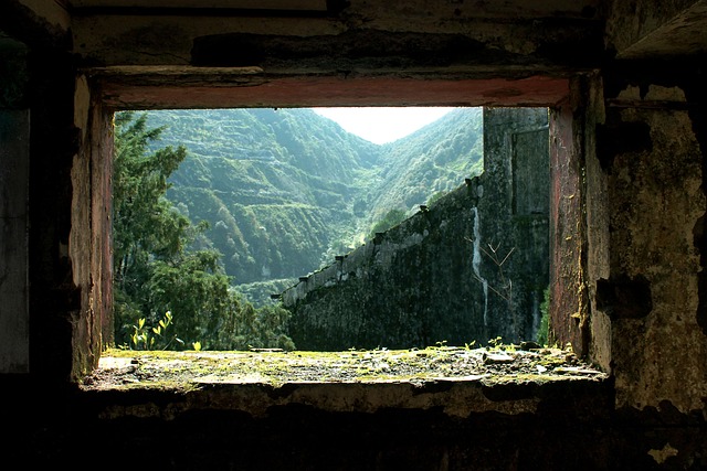 Free Window Spooky photo and picture