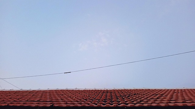 Free Roof Top photo and picture