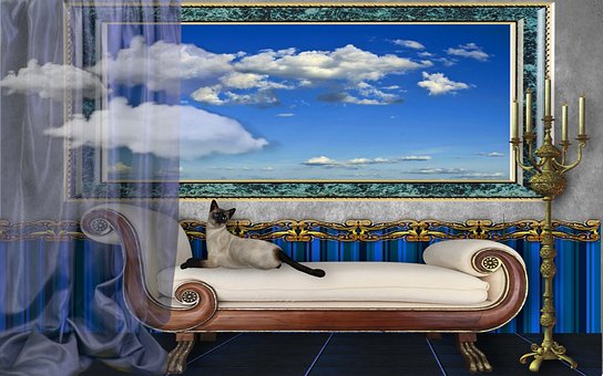 Zimmer, Wolken, Katze, Fantasie, Wolke