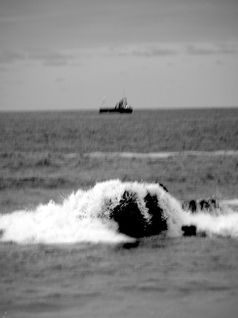 Trepidación, Océano, Mar, Naturaleza