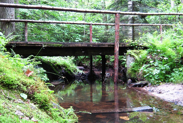 Bridge Landscape Nature - Free photo on Pixabay - Pixabay