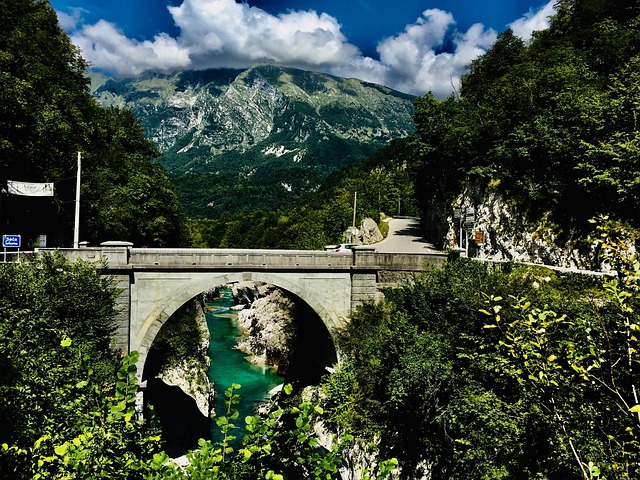Free Bridge Trees photo and picture