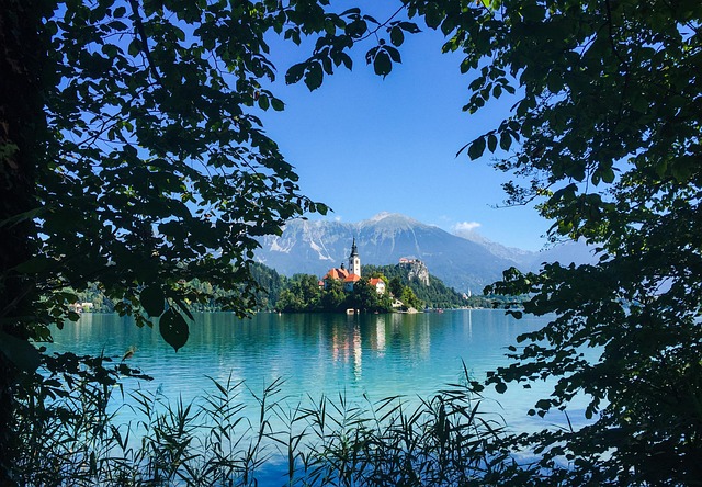 Free Lake Lake Bled photo and picture