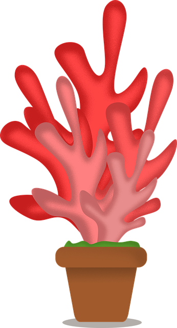Free Plant Port illustration and picture
