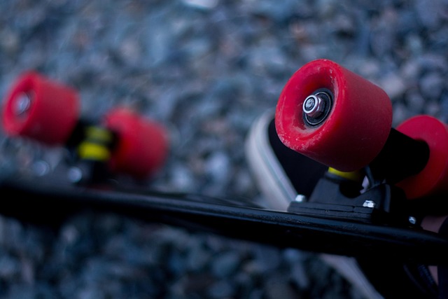 Free Skateboard Skateboarding photo and picture