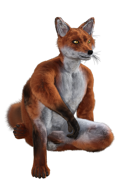 Download free HD stock image of Fox To Sit Free fox to sit fantasy illustration