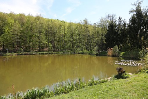 Free Lake Pond photo and picture