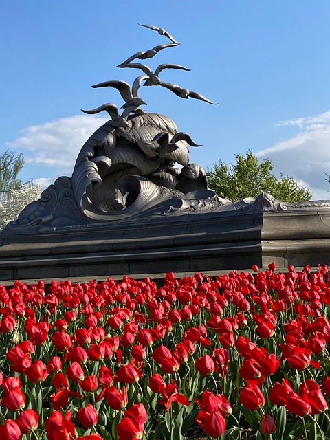 Rojo, Tulipanes, Estatua, Aves