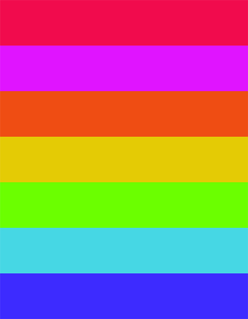 Bunt, Rosa, Feder, Blumen, Rot, Blau