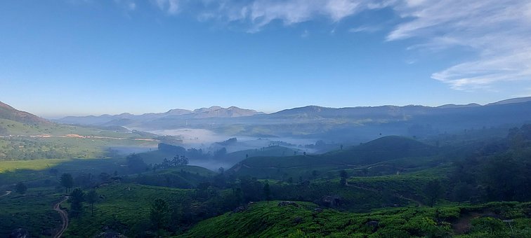 Free Tea Gardens Kerala photo and picture