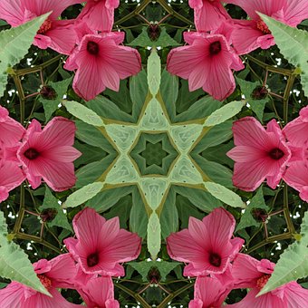 Free Seamless Pattern Pattern photo and picture