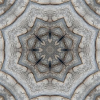 Free Seamless Pattern Pattern photo and picture
